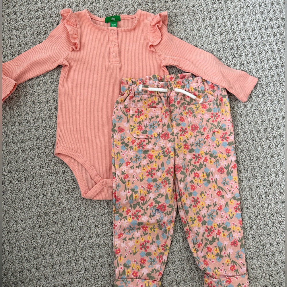 NWOT Dip baby toddler girl long sleeve outfit, floral pants with pink bodysuit